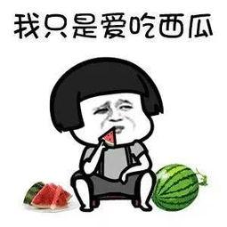 吃瓜娱乐去哪里了